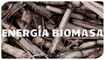 la biomasa